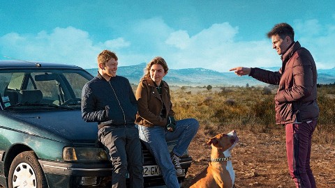 Amstaff (2023) - Film