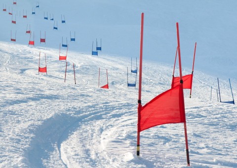 Narciarstwo alpejskie: Puchar Świata kobiet w Kranjskiej Gorze - Program