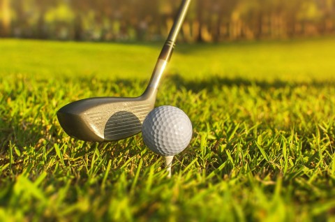 Golf: PGA Tour - Wyndham Championship - Program