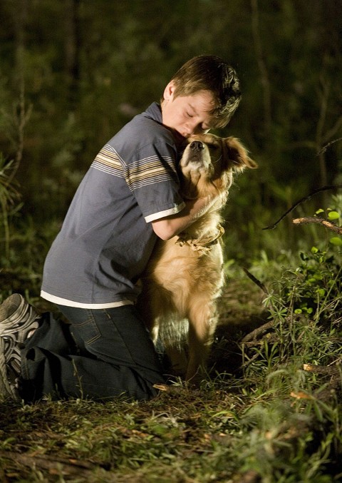 Pies na wagę diamentów (2008) - Film