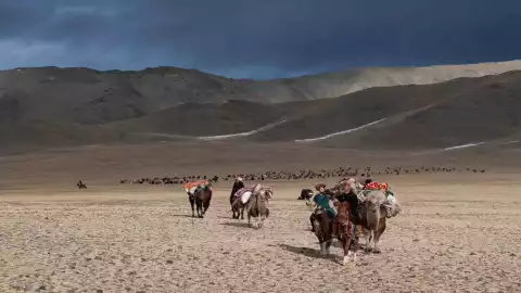 Mongolia. Pomiędzy niebem a ziemią - Program