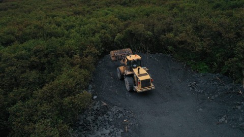 W cieniu góry Denali
