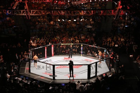 MMA: UFC Fight Night - Program