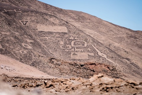 Cel - Chile