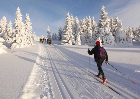 Biegi narciarskie: Puchar Świata kobiet w Oslo - Program