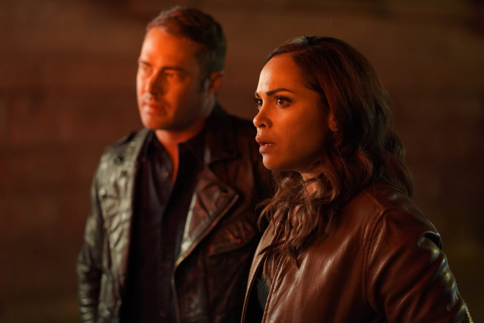 Chicago Fire - serial | Telemagazyn