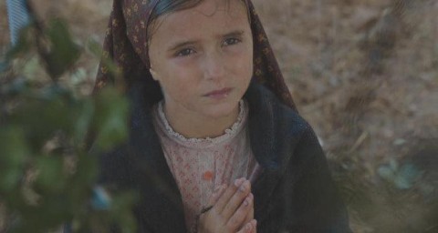 Fatima, cud słońca (2017) - Film