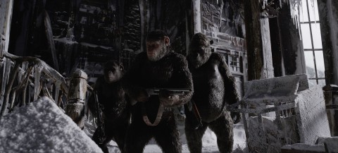 Wojna o planetę małp (2017) - Film