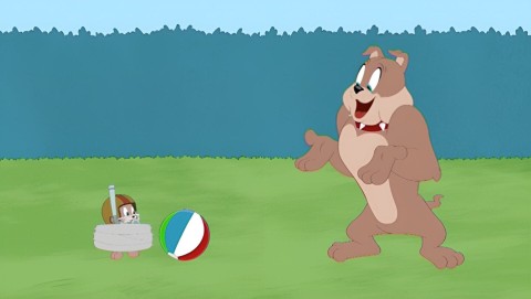 W obronie szczeniaka