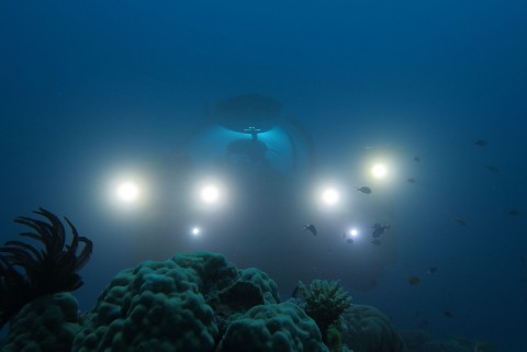 Wielka Rafa Koralowa z Davidem Attenborough - Serial
