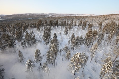 Frozen Lands