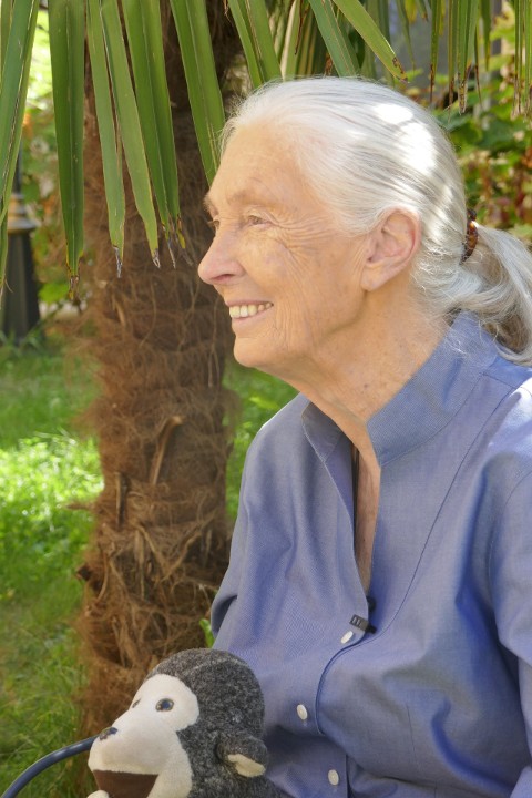 Jane Goodall: nowe pokolenie (2020) - Film