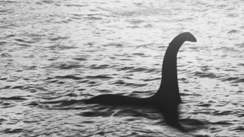 Loch Ness Monster: New Evidence (2019) - Film