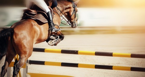 Jeździectwo: Global Champions Tour w Dosze - Program