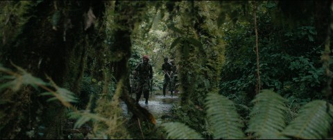 Miłosierdzie dżungli (2018) - Film