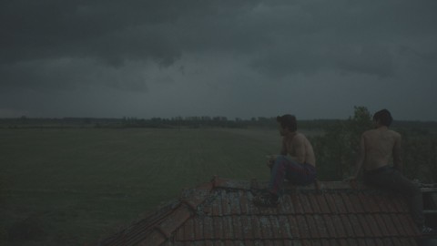 Kraina burz (2014) - Film