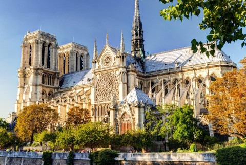 Katedra Notre Dame 1