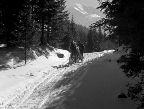 Tatry w zimie (1949) - Film