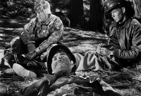 Strach i pożądanie (1953) - Film