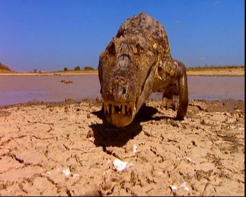 Krokodyle. Ostatnie smoki (2009) - Film