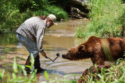 Ucząc niedźwiedzie łowić ryby