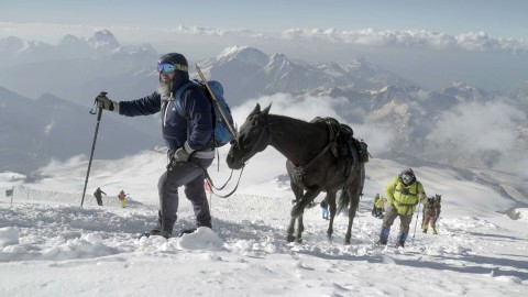 Kaukaz - konno na Elbrus