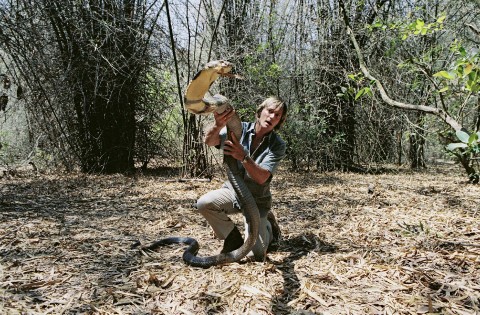 W poszukiwaniu kobry królewskiej (2003) - Film