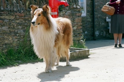 Lassie (2005) - Film