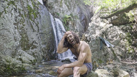 Vivre seul en forêt