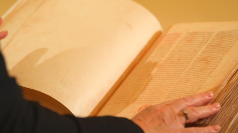 Era bibliotek - Program