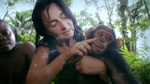 Fantastyczna opowieść o szympansicy Canelle (2015) - Film