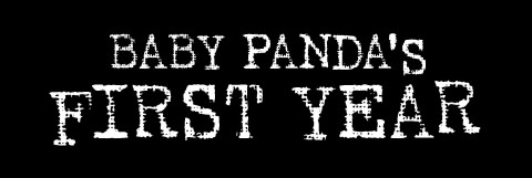 Pierwszy rok z życia pandy () - Film