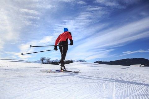 Biegi narciarskie: Puchar Świata kobiet w Lillehammer - Program