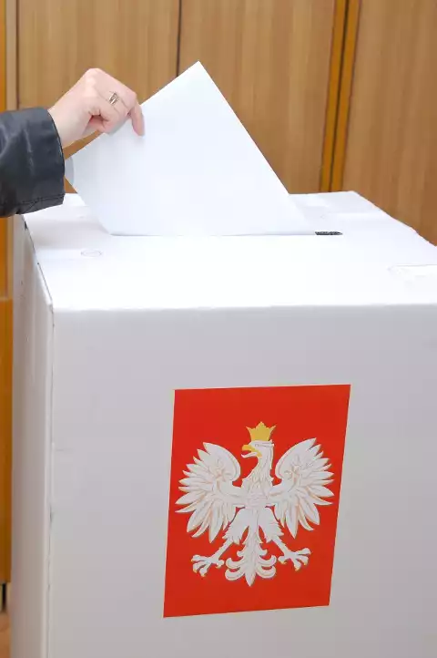 Polska wybiera - Program