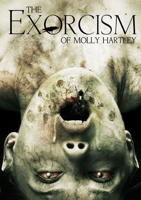 Egzorcyzmy Molly Hartley (2015) - Film