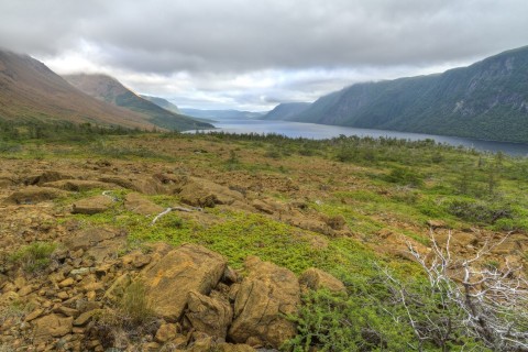 Gros Morne