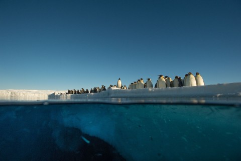 Sekrety Antarktyki - Serial