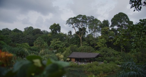 Wild Water Paradise