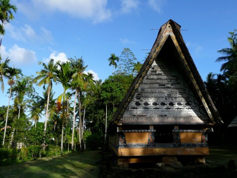 Republika koralowa. Palau