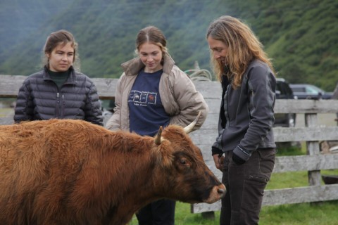 Nie pierwsze rodeo