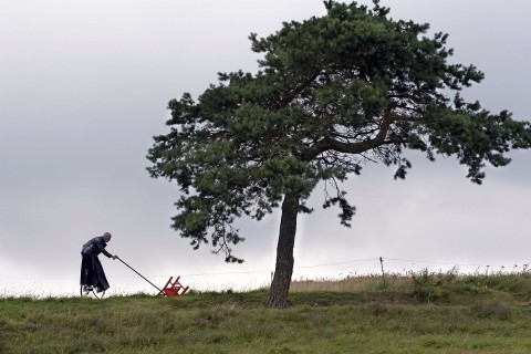 Magiczne drzewo (2009) - Film