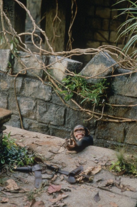 Druga księga dżungli (1997) - Film