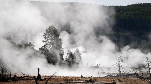 Yellowstone: bomba zegarowa - Program
