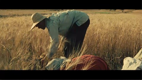 Gluten - wróg publiczny (2021) - Film