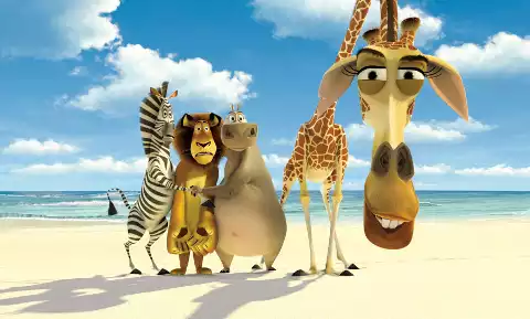 Zakochany Madagaskar (2013) - Film