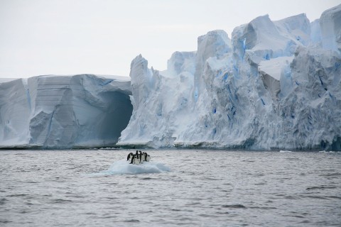 Antarktyda - kraina wiecznego lodu (2012) - Film