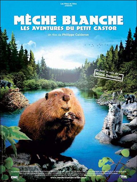 Biała Smużka - przygody małego bobra (2008) - Film