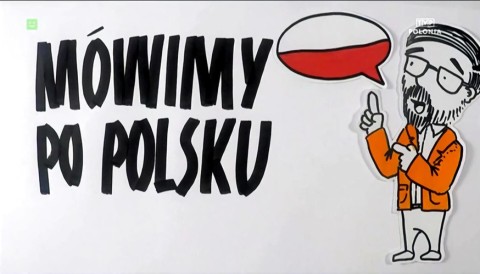 Mówimy po polsku - Program