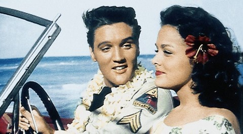 Błękitne Hawaje (1961) - Film