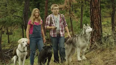 Timber, pies odkrywca (2016) - Film